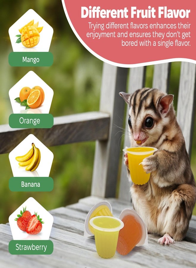 Snout and Shell Pet Jelly Pods Variety Pack - Nutritious Jelly Fruit Nectar Treats for Geckos, Sugar Gliders, Birds, Small Pets - Real Fruit Juice - 40 Cups - Image 3